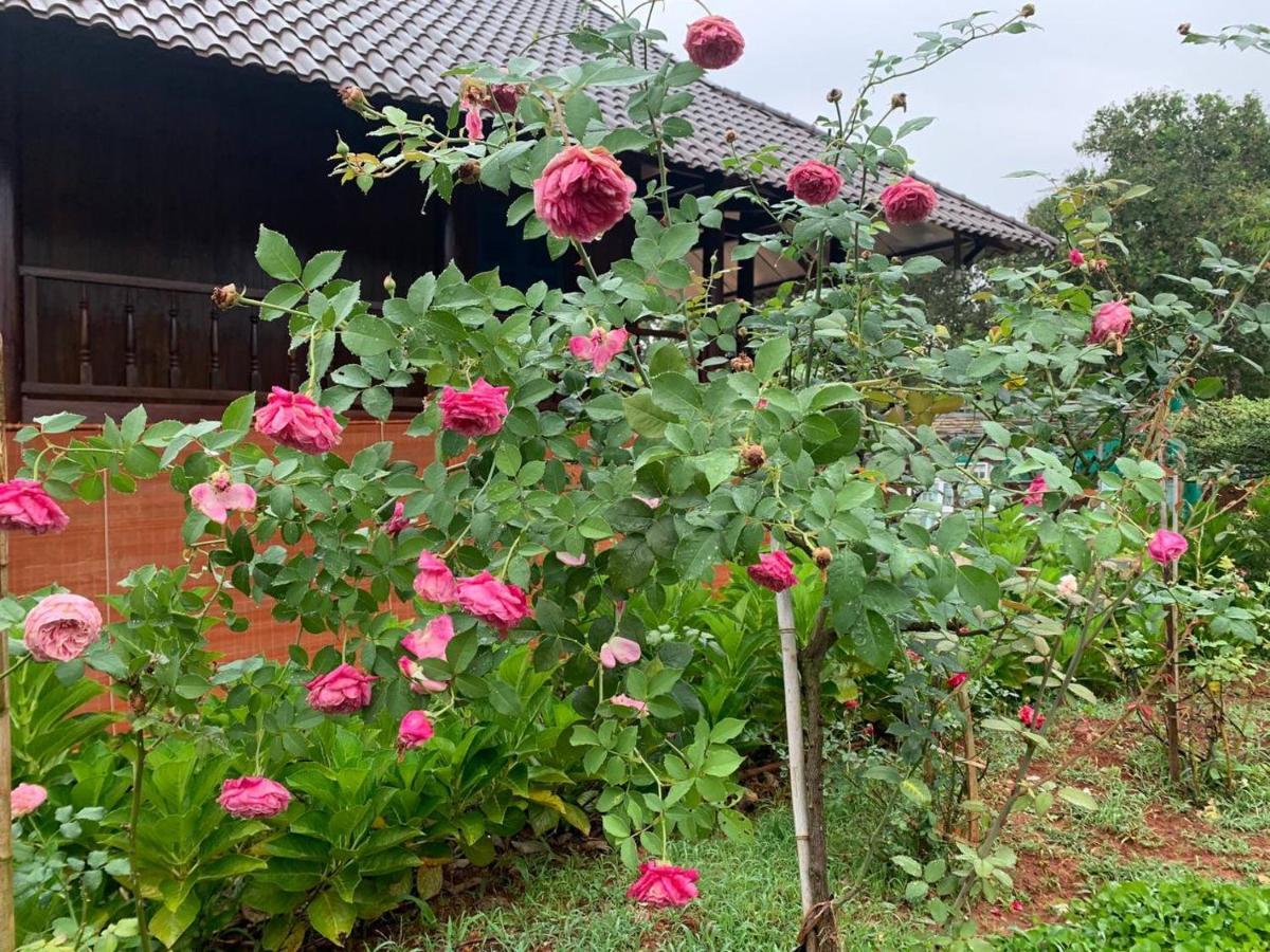 Phuong Nam Gia Trang Farmstay Gia Nghĩa 외부 사진