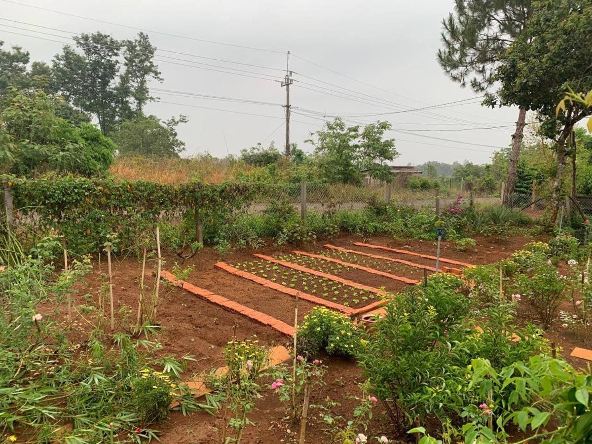 Phuong Nam Gia Trang Farmstay Gia Nghĩa 외부 사진